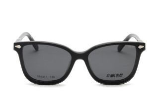 Ray AY765 2